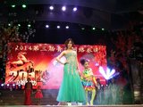 2014春晚图片2